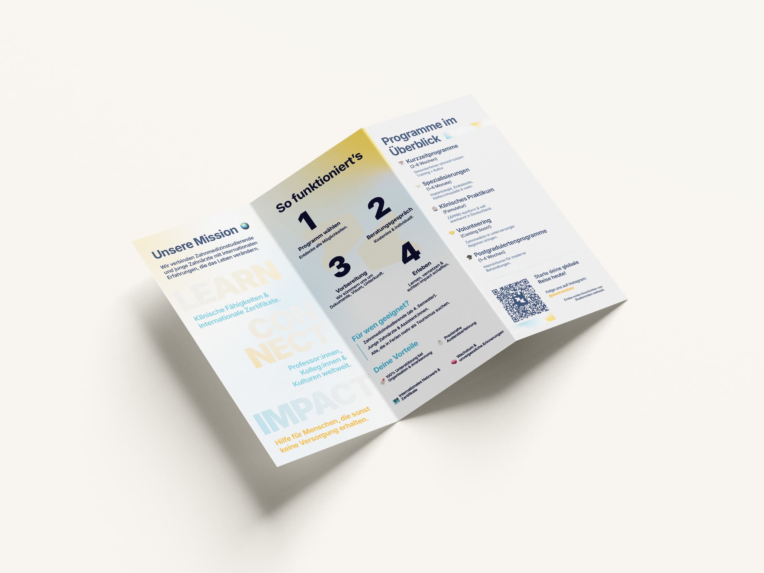 Folder sanfonado aberto, lado interno